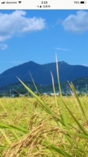 北条米