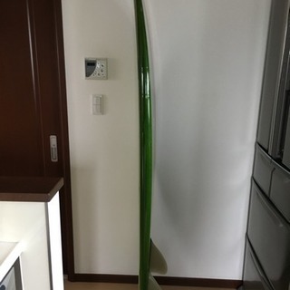 レトロフィッシュ ツインフィンサーフボード6.2