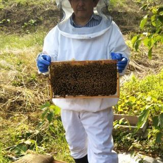 本物の熟成生蜂蜜を使った健康食品「チャーガ&ハニー」試食座談会・...