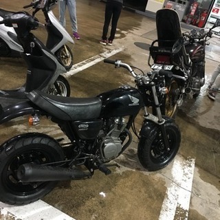 HONDA エイプ50FI