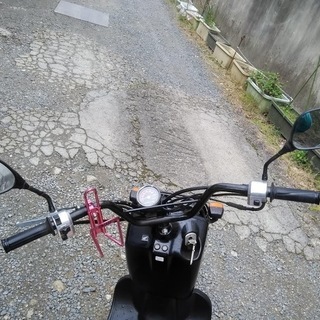 ズーマー ブラック 快調 学割キャンペーン