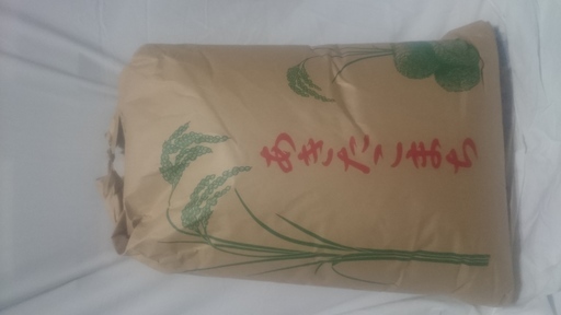秋田の美味しいお米　あきたこまち