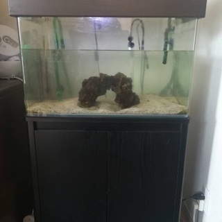 水槽 コトブキ レグラス 600 水槽台 水槽カバー