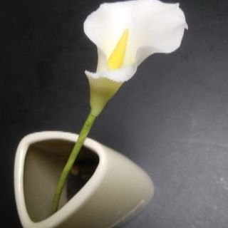 【体験】焼かずにできる・手軽にできる 粘土クラフト工芸 ~長津田アピタ