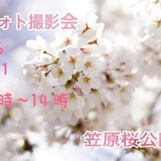桜フォト撮影会