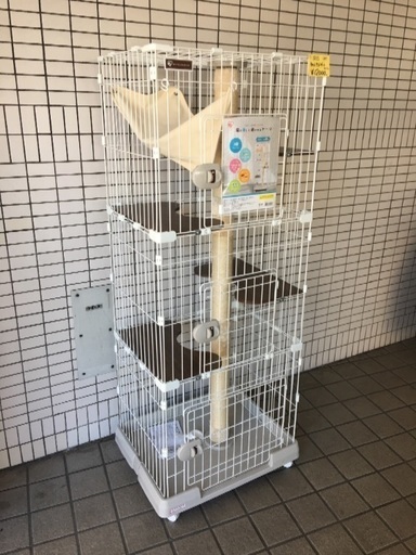 【新品】IRIS  キャットランドゲージ
