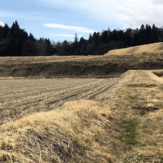 農地拡大・交換に関心ある方募集中！