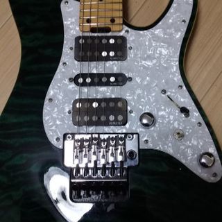 シェクターSD2－24