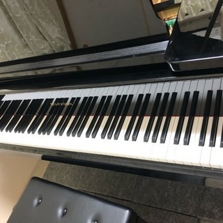 購入1年未満の美しいグランドピアノ