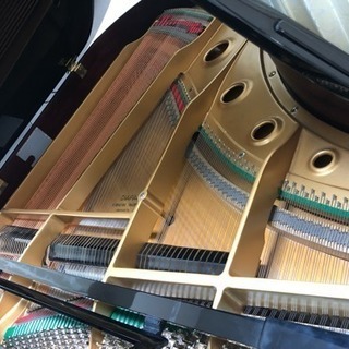 購入1年未満の美しいグランドピアノ