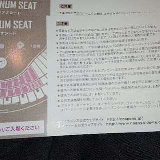 9月13日 中日×阪神戦 プラチナシート2枚 - スポーツ