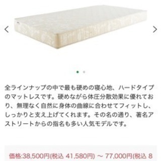 マニフレックス  マニスポーツダブルマットレス