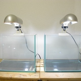 オールガラス水槽とライトのセット２組