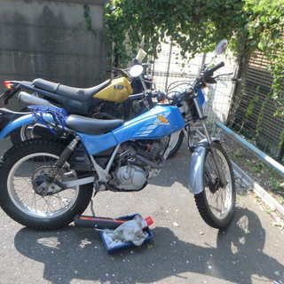 TLR TL125（オフロード競技車両）