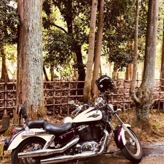 シャドウ1100ACE