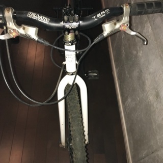 Merlin Roots マーリン ルーツ 世界限定50台