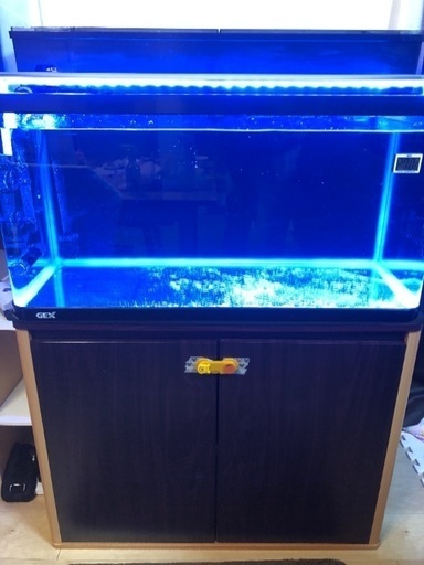【最終値下げ】90センチ水槽 セット