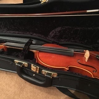 ヴァイオリン  ピグマリウス 売ります