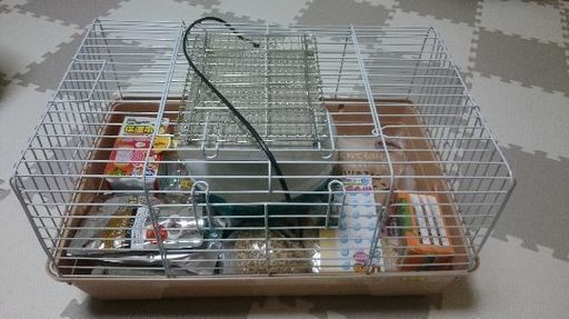 ハリネズミ飼育用品一式