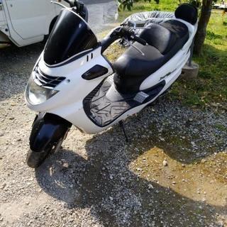 動画あり　SYMジョイライド125 エボ 動画あり SYMジョイライド125 エボ