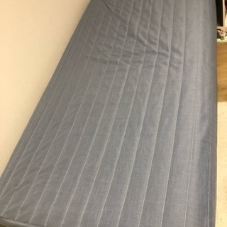 ニトリで1月に購入したばかりのシングルベッドです！
