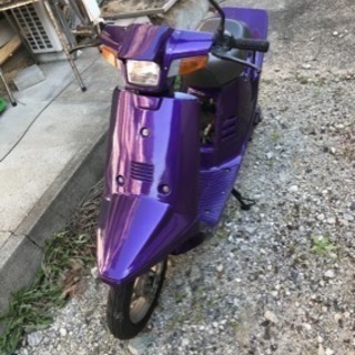 ペリカンジョグ当時物　シモンテール　紫紋 ペリカンジョグ当時物シモンテール紫紋
