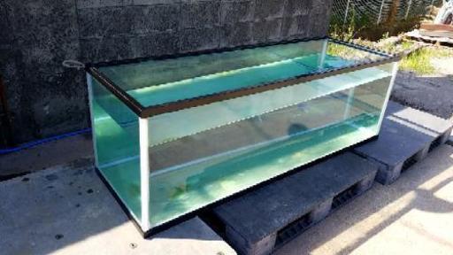 1800×600×600のガラス水槽 | monsterdog.com.br