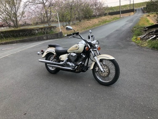 ドラッグスター250 実働 ノーマル 磐田市