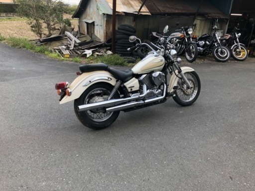 ドラッグスター250 実働 ノーマル 磐田市