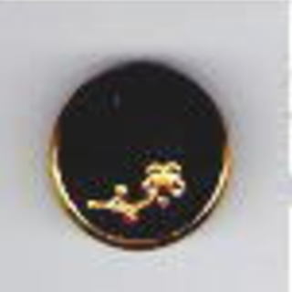 ガラスペンダントトップ（チェコガラス）