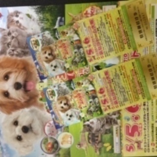 ペット王国2019（京セラドーム大阪）特別招待券　２枚を2,000円