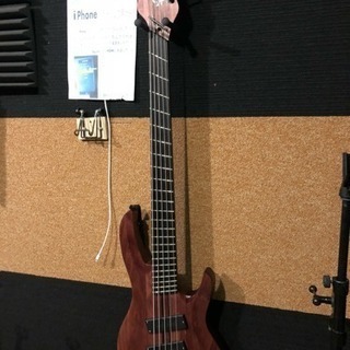 S7G strictly 7 guiters sidewinder 5弦ベース