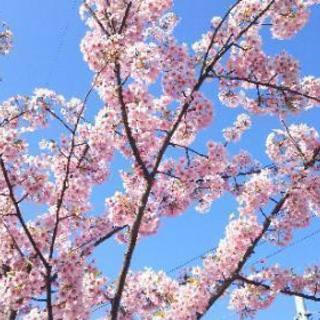 知多半島の小中学校無料通塾の生徒募集★地元FMラジオ紹介★上位進学...
