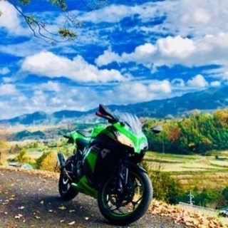 Ninja250