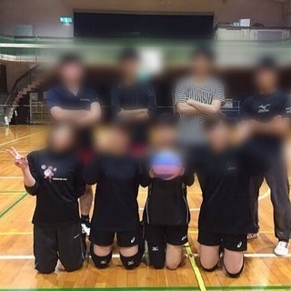 社会人バレーボールサークルメンバー募集💫