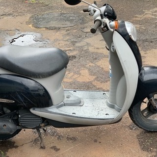 ホンダ スクーピー