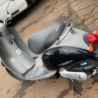 ホンダ スクーピー