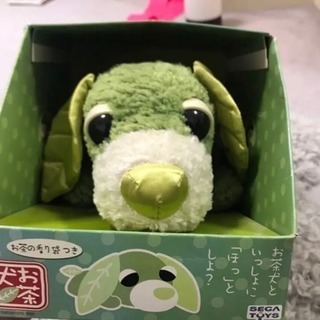 中古お茶犬が無料 格安で買える ジモティー