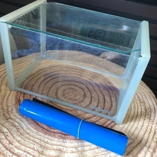 ガラス水槽 バックスクリーン 砂利