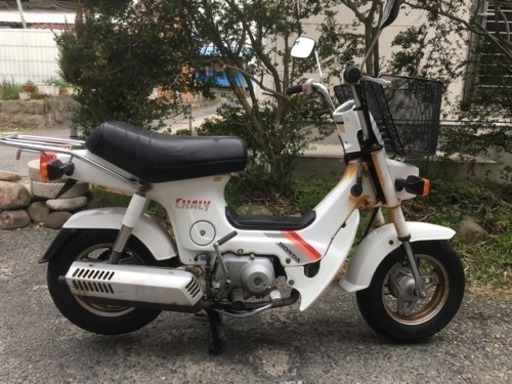 シャリー50