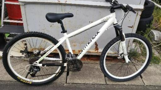 極太タイヤオイルディスク 白  自転車