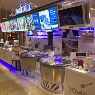 人気のタピオカとイタリアンジェラートのお店 横浜 yogorino！