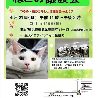 横浜　つるみ・猫のカギしっぽ譲渡会　（JR鶴見西口より歩５分）室内開催