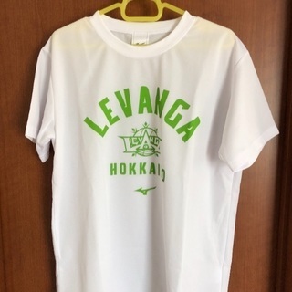 レバンガ北海道 ファンクラブ特典Tシャツ