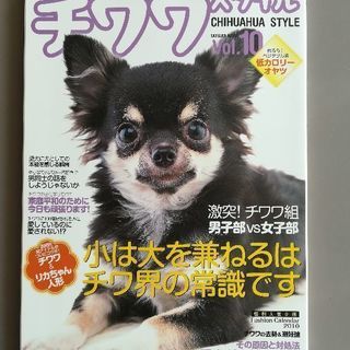 チワワスタイル　雑誌