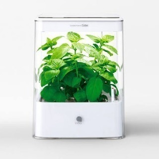 Green Farm Cube  水栽培器 グリーンファームキューブ