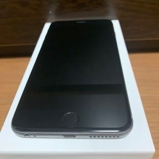 観葉植物 アトランティス 21cm吊り鉢ごと