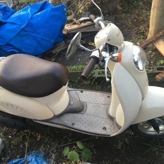 【原付】ホンダクレアスクーピーの画像
