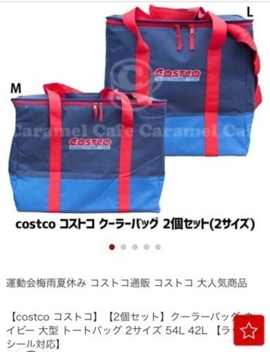 みっくん様 メルカリ 商談成立 コストコ保冷バッグ2点セット カルア 伊賀の家電の中古あげます 譲ります ジモティーで不用品の処分