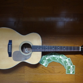 アリア F130 アコースティックギター